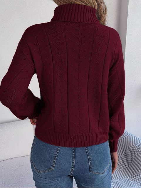 Turtleneck Sweater