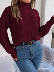 Turtleneck Sweater